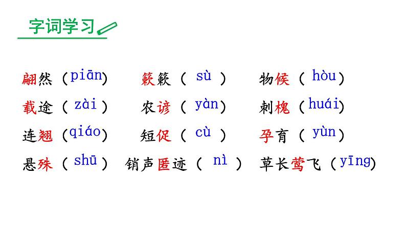 部编版八年级语文下册--5 大自然的语言（精品课件）第6页