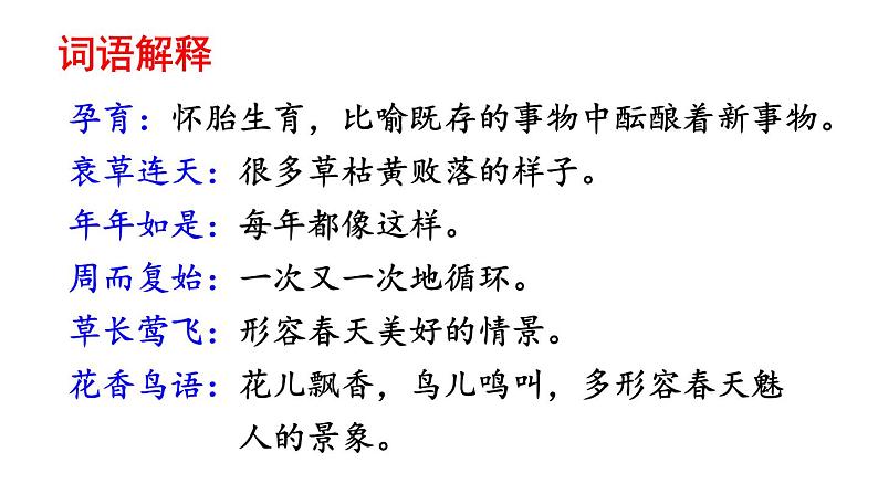 部编版八年级语文下册--5 大自然的语言（精品课件）第7页