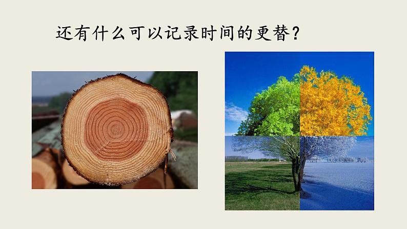 部编版八年级语文下册--8 时间的脚印（精品课件）第4页