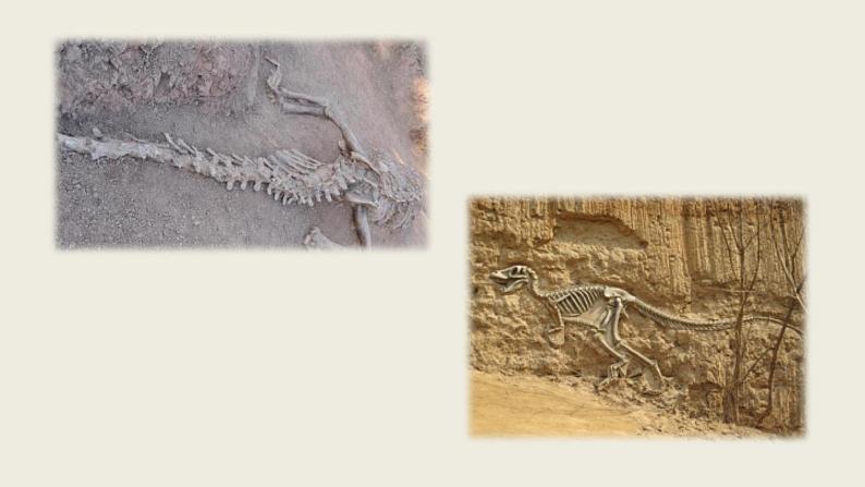 部编版八年级语文下册--8 时间的脚印（精品课件）第6页