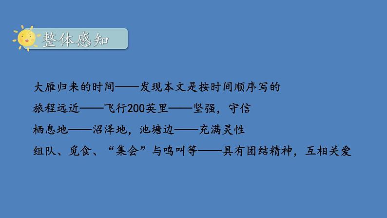 部编版八年级语文下册--7 大雁归来（课件1）07