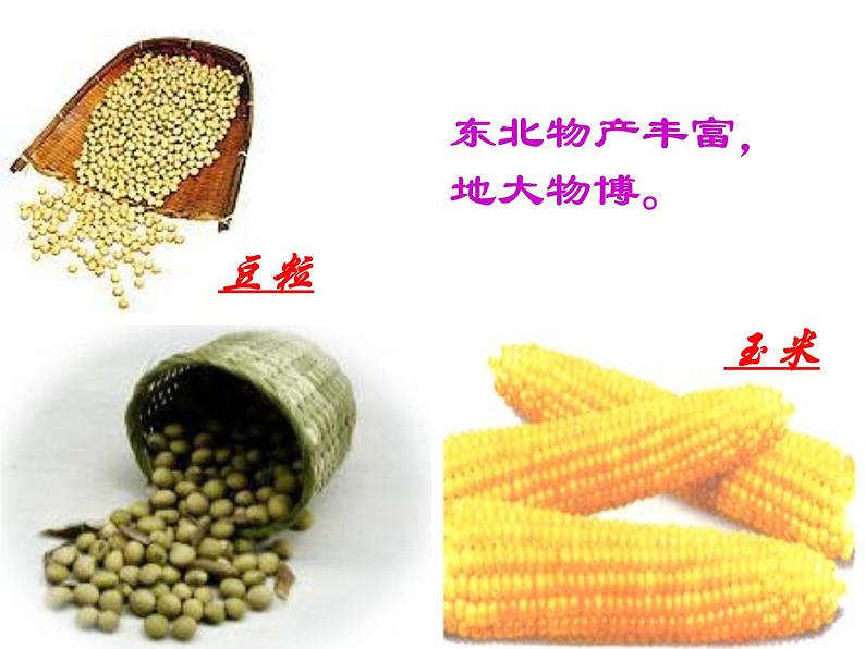 部编版七年级语文下册--8.土地的誓言（课件4）第5页
