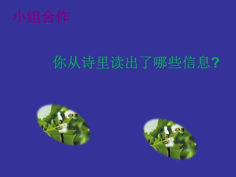 部编版七年级语文下册--第三单元课外古诗词-晚春（课件3）第6页