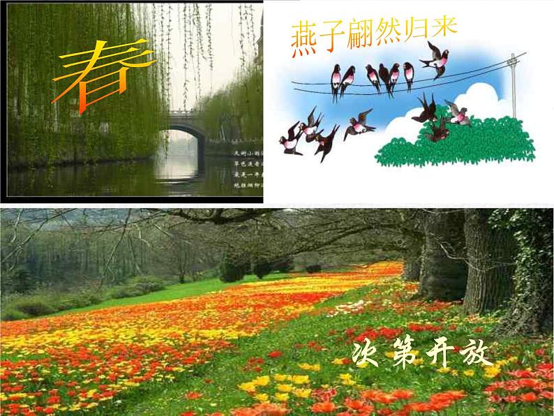 部编版八年级语文下册--5.大自然的语言（课件4）07
