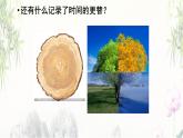 部编版八年级语文下册--8.时间的脚印（课件2）