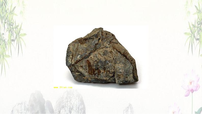 部编版八年级语文下册--8.时间的脚印（课件2）第3页