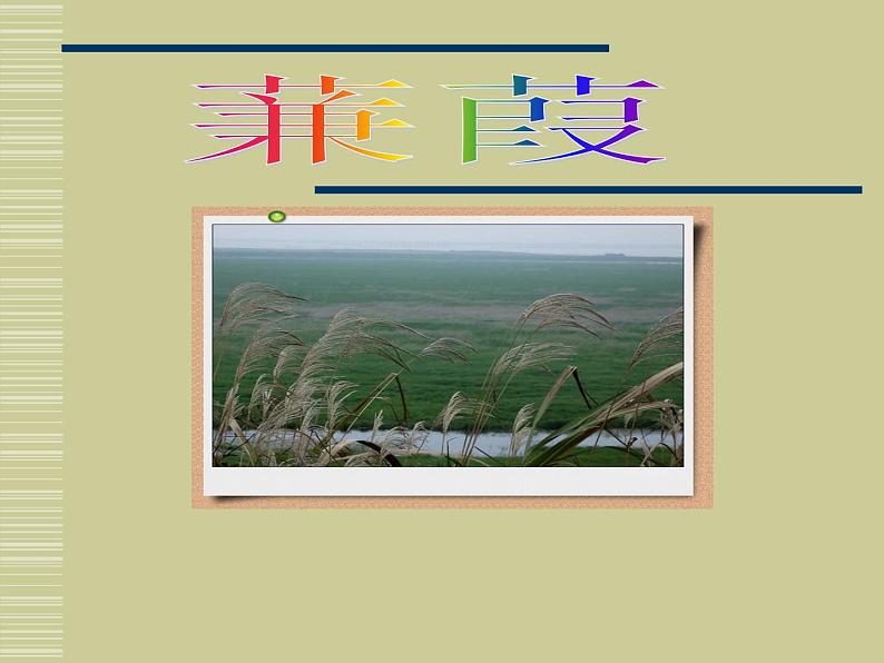 部编版八年级语文下册--12.《诗经》二首-蒹葭（课件3）01