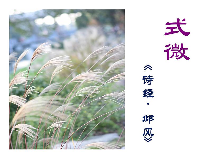 部编版八年级语文下册--第三单元课外古诗词诵读-式微（课件2）03