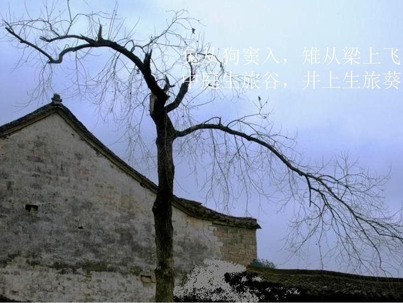 部编版九年级语文下册--24.诗词曲五首-十五从军征（课件2）第8页
