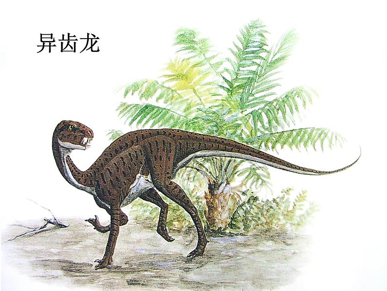 部编版八年级语文下册--6.阿西莫夫短文两篇-恐龙无处不在（课件3）第2页