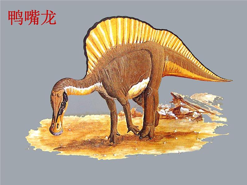 部编版八年级语文下册--6.阿西莫夫短文两篇-恐龙无处不在（课件3）第4页