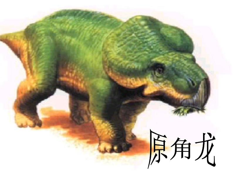 部编版八年级语文下册--6.阿西莫夫短文两篇-恐龙无处不在（课件3）第5页