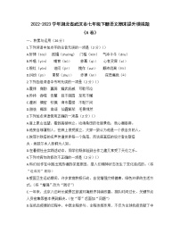 2022-2023学年湖北省武汉市七年级下册语文期末提升模拟题（AB卷）含解析