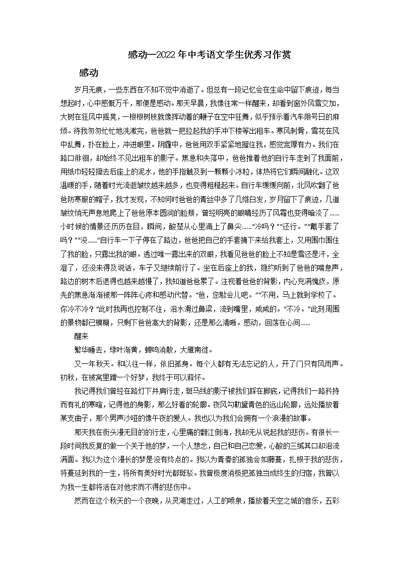 主题09  感动类-2023年中考语文考场作文高频主题范文优选01