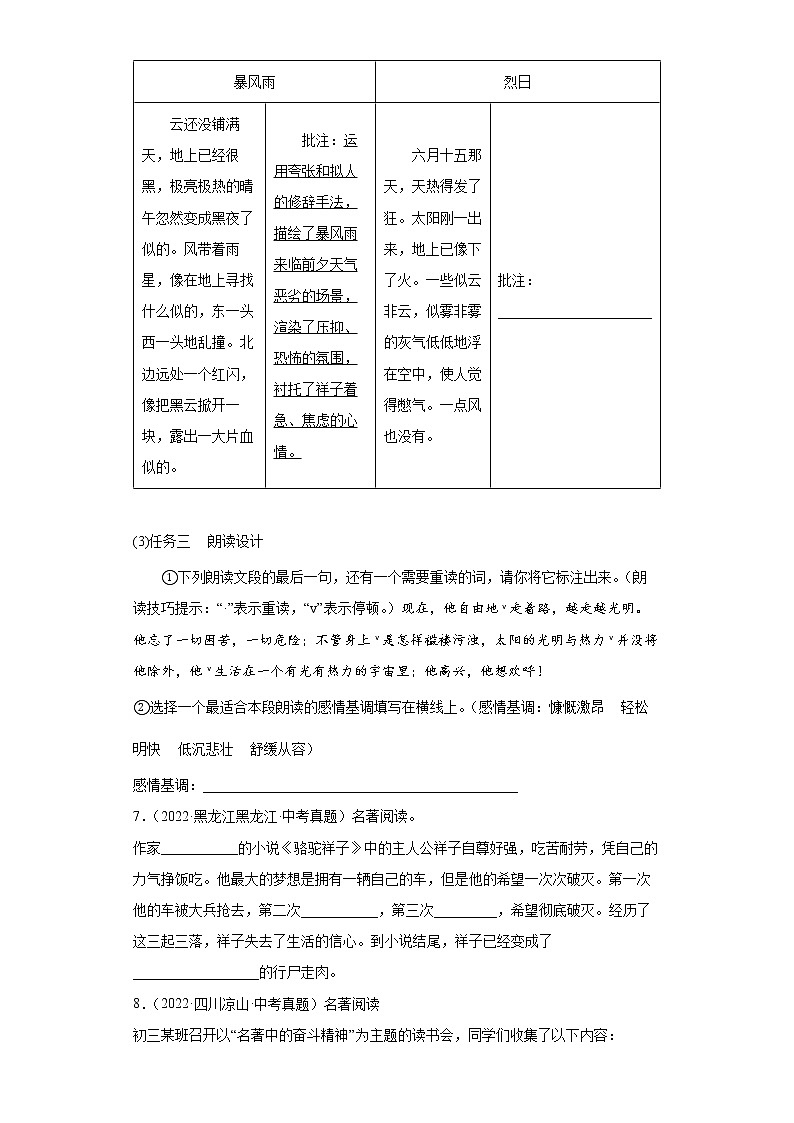 【备考2023】中考语文一轮复习《名著阅读》通关练习卷——3.骆驼祥子（含解析）03