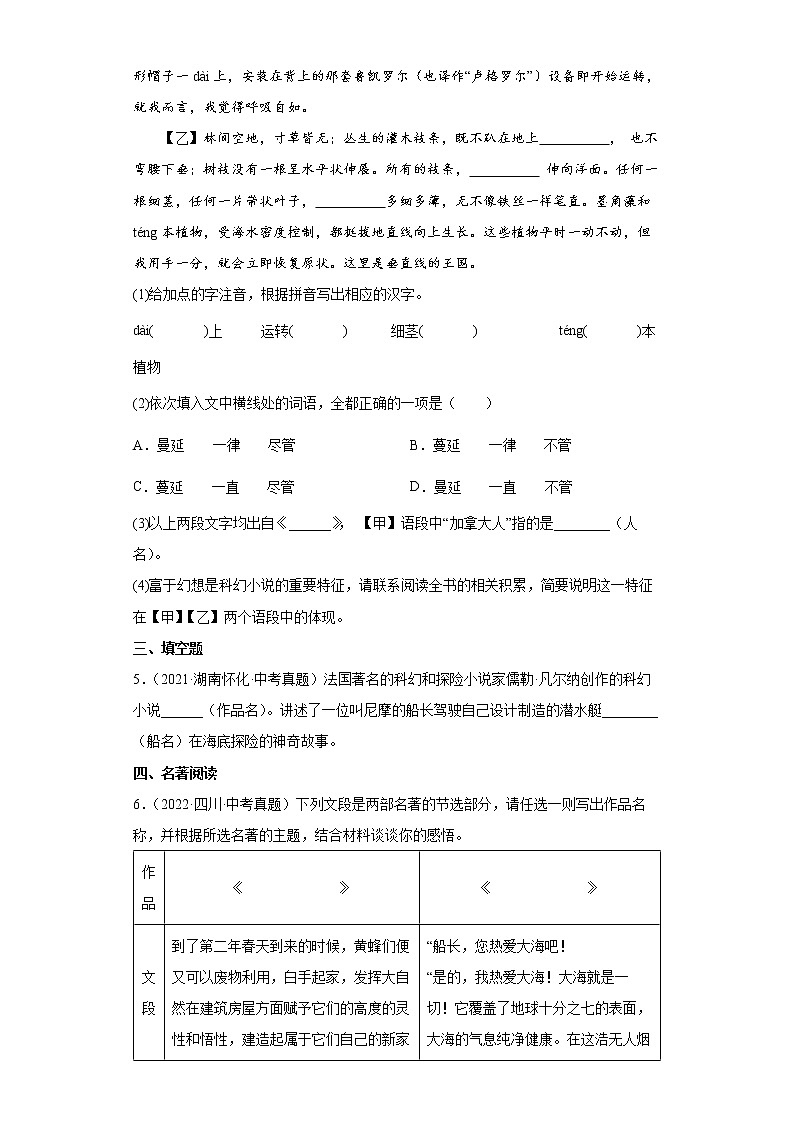 【备考2023】中考语文一轮复习《名著阅读》通关练习卷——4.海底两万里（含解析）第2页