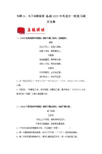 【备考2023】 部编版中考语文一轮复习专题精练  专题21：七下诗歌鉴赏