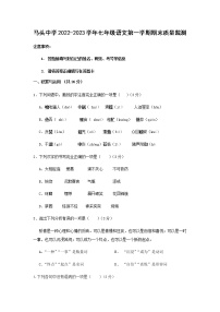 山东省东明县马头镇初级中学2022-2023学年七年级上学期期末质量监测语文试题