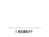 部编版八年级语文下册--6《阿西莫夫短文两篇》.被压扁的沙子（课件）