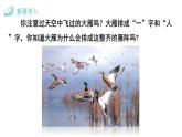 部编版八年级语文下册--7 大雁归来（课件）