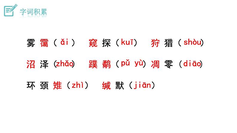 部编版八年级语文下册--7 大雁归来（课件）07