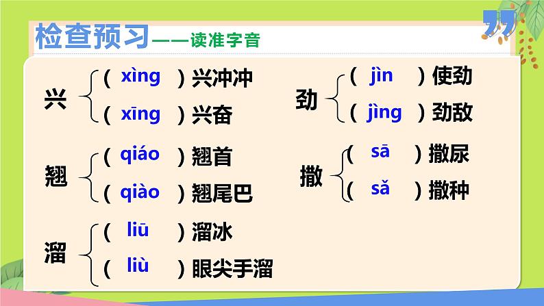 第19课 枣儿 -课件第5页
