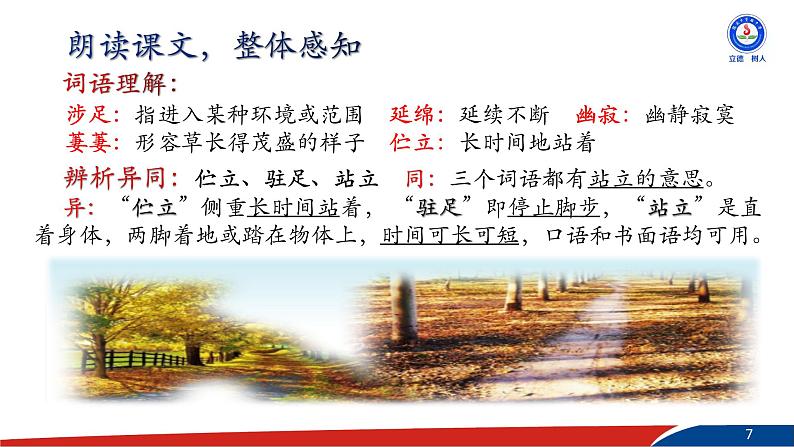 《未选择的路》第7页