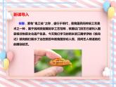 第11课《核舟记》同步课件（部编版）