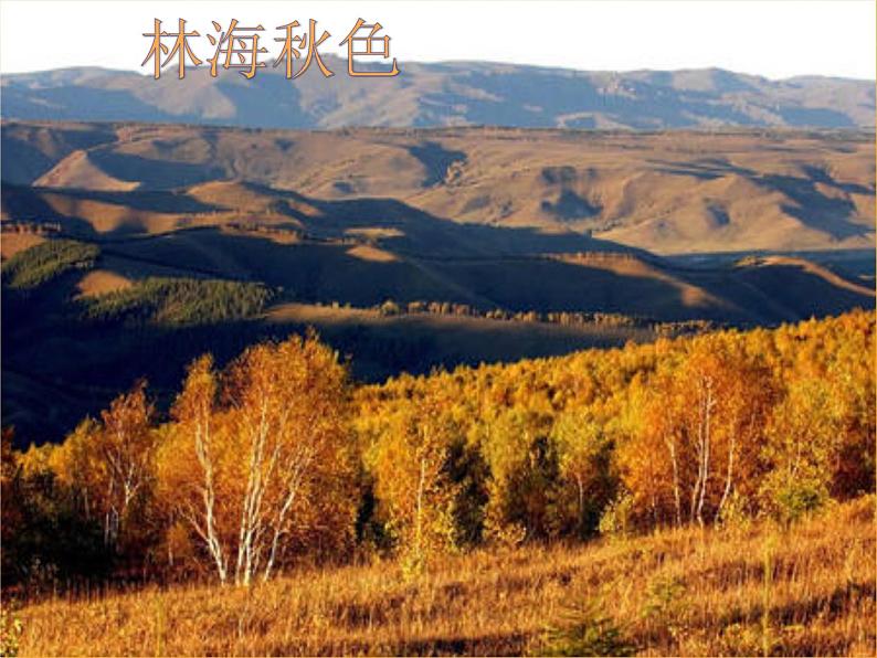 部编版七年级语文下册--8.土地的誓言（课件1）第1页