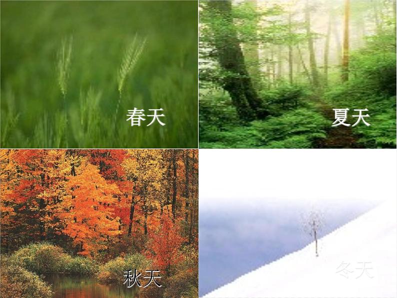 部编版八年级语文下册--5.大自然的语言（课件）07