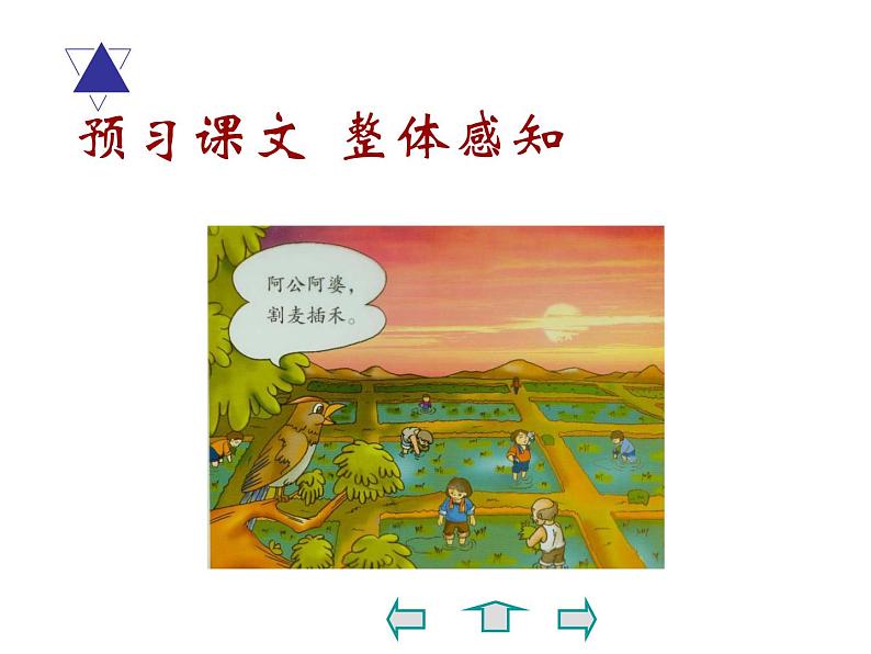 部编版八年级语文下册--5.大自然的语言（课件1）05