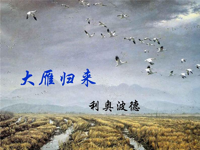 部编版八年级语文下册--7.大雁归来（课件1）第1页