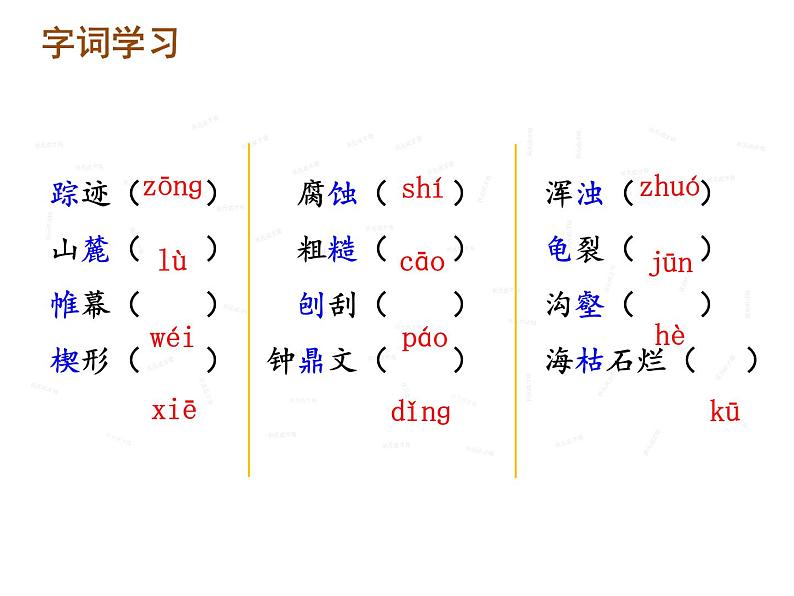 部编版八年级语文下册--8.时间的脚印（课件）第4页