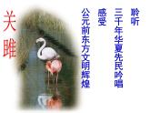 部编版八年级语文下册--12.《诗经》二首-关雎（课件1）