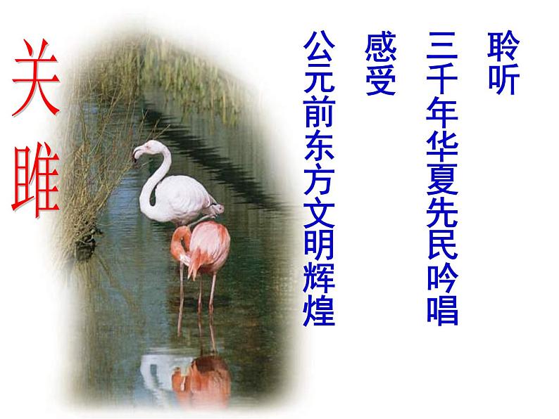 部编版八年级语文下册--12.《诗经》二首-关雎（课件1）01