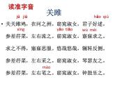 部编版八年级语文下册--12.《诗经》二首-关雎（课件1）