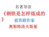 部编版八年级语文下册--名著导读《钢铁是怎样炼成的》：摘抄和做笔记（课件）