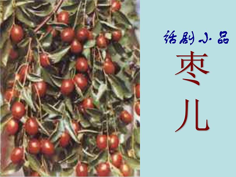 部编版九年级语文下册--19.枣儿（课件）第1页