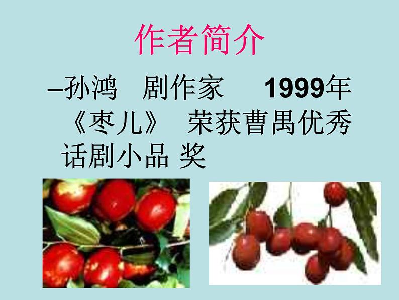 部编版九年级语文下册--19.枣儿（课件）第3页