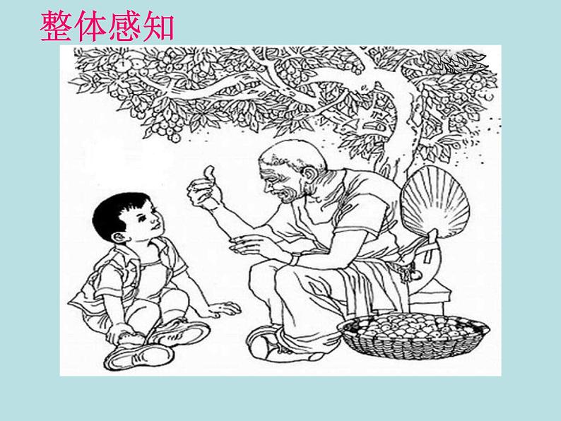 部编版九年级语文下册--19.枣儿（课件）第5页