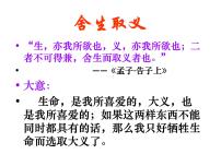 初中语文人教部编版九年级下册过零丁洋多媒体教学ppt课件