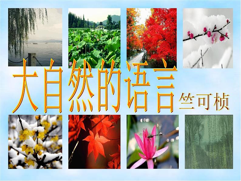 部编版八年级语文下册--5.大自然的语言（课件2）第1页