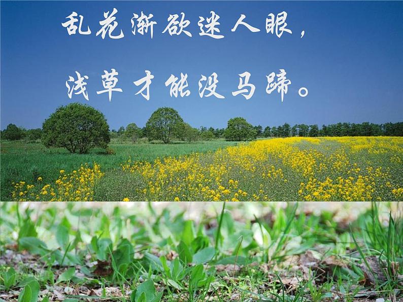 部编版八年级语文下册--5.大自然的语言（课件2）第8页