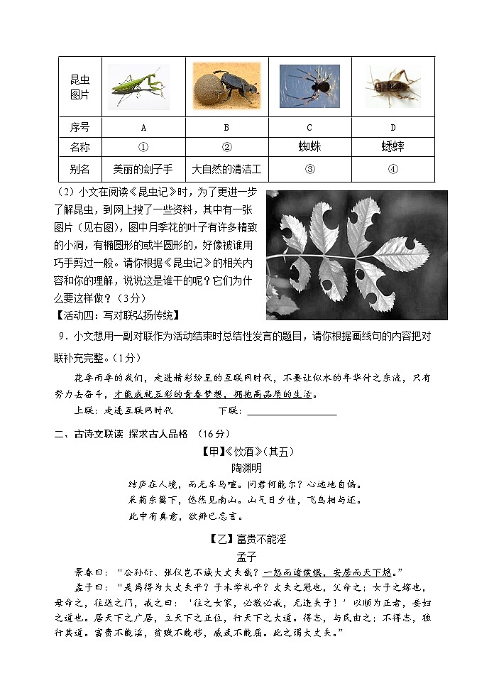 广西钦州市浦北县2022-2023学年八年级上学期期末考试语文试题（含答案）第3页