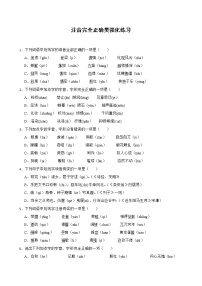 中考字音注音完全正确附解析答案