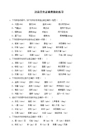 中考题：字音注音完全正确附解析答案