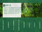 【人教版】八年级下册语文柳宗元《小石潭记》教学PPT课件