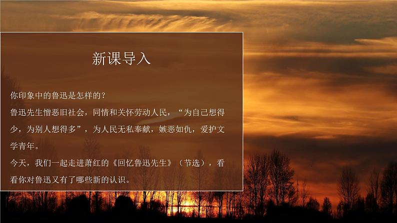 【部编版】七年级下册语文萧红《回忆鲁迅先生》教学PPT课件第2页