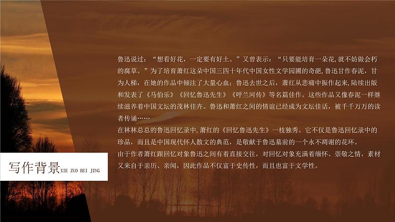【部编版】七年级下册语文萧红《回忆鲁迅先生》教学PPT课件第4页