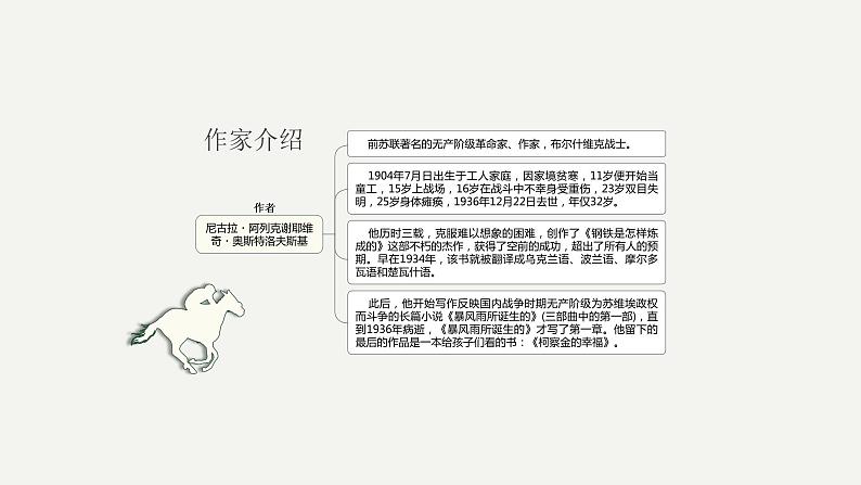 2023中考名著阅读钢铁是怎样炼成的课件PPT05